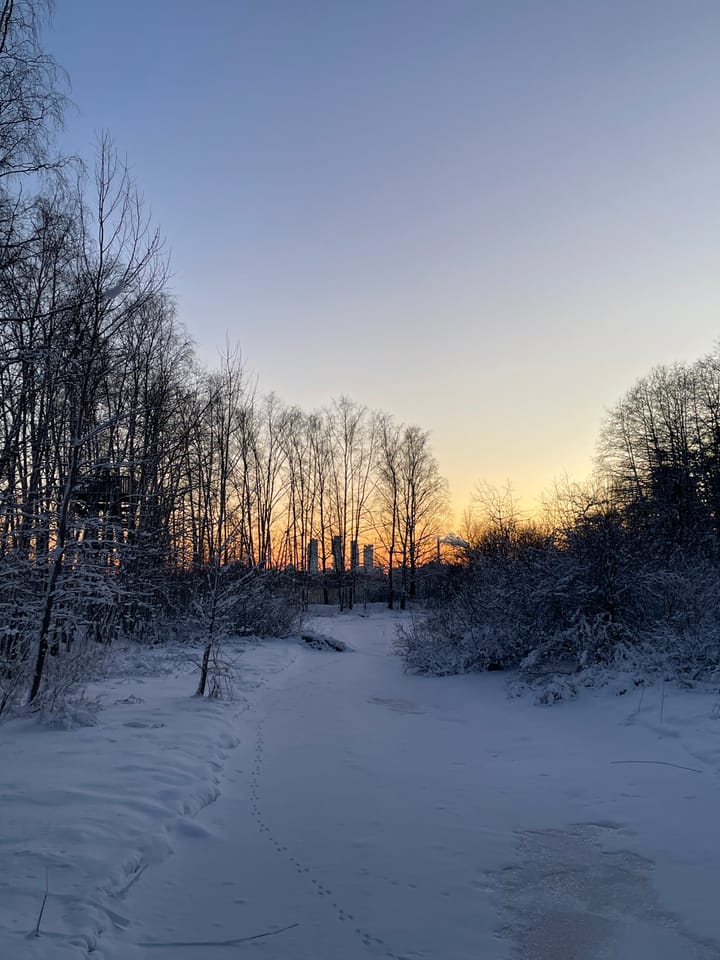 Viikinrannan kaupunginosa yhdistys lyhyesti